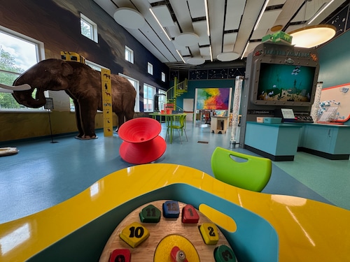 Top 5 free things to do with kids in Northeast Ohio this summer