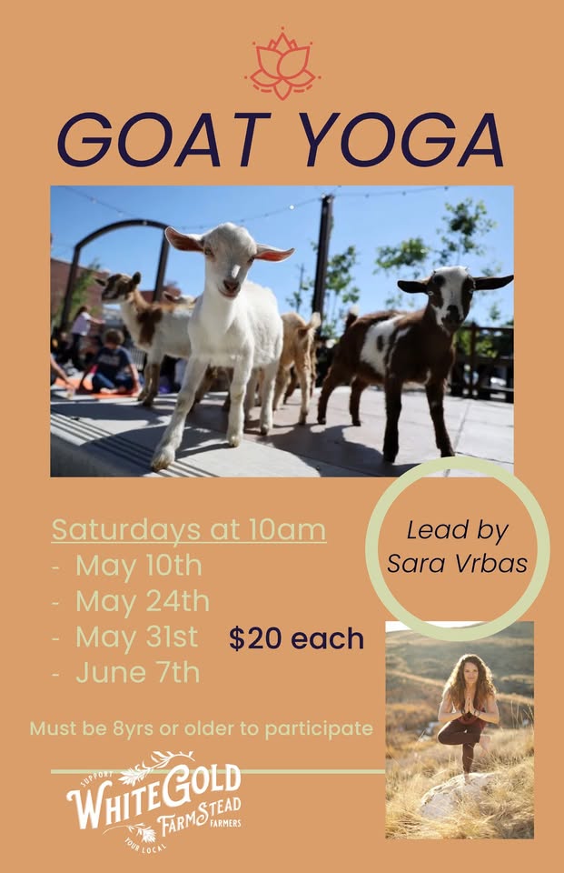 Casper Happenings (5/31/25): Goat yoga, Healthy Kids Day, live music