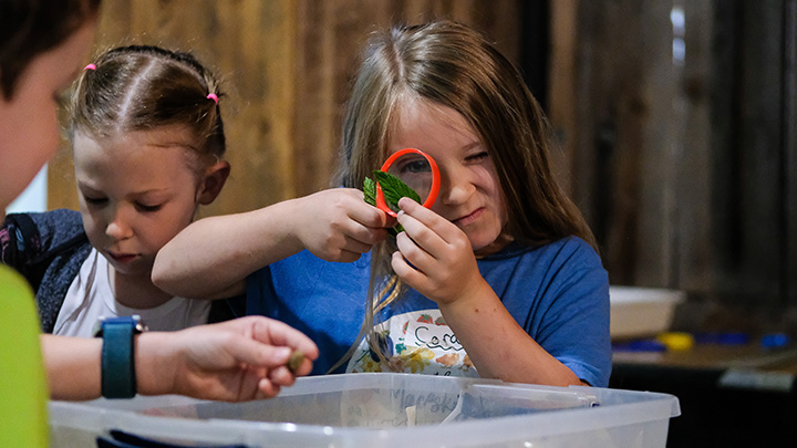 Summer camps for kids return to Macoskey Center